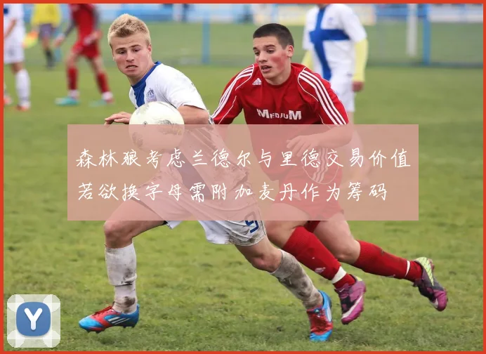 森林狼考虑兰德尔与里德交易价值若欲换字母需附加麦丹作为筹码