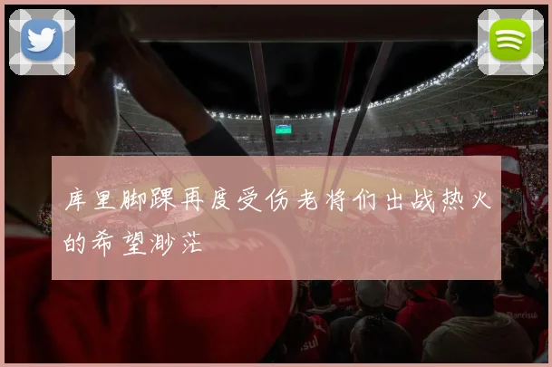 库里脚踝再度受伤老将们出战热火的希望渺茫
