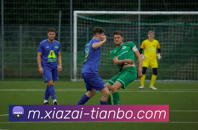 App Interface Preview