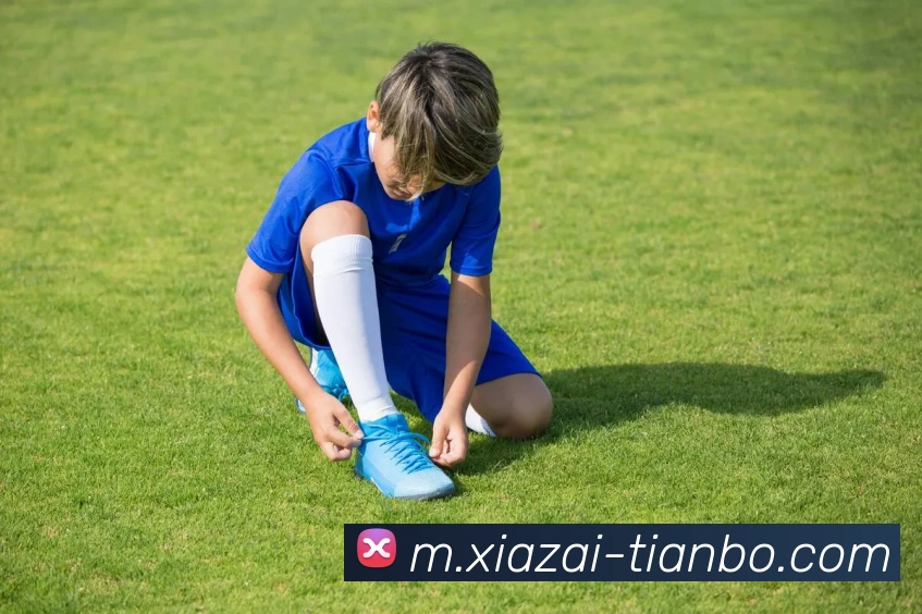 天博体育APP 封面图